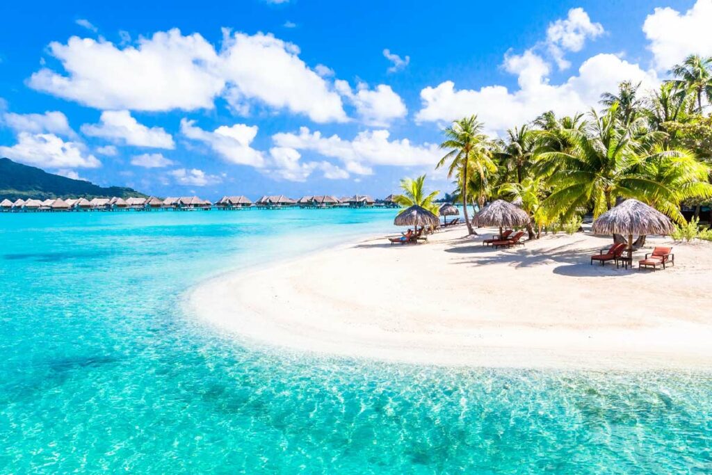 Best Cruises for Learning and Enrichment