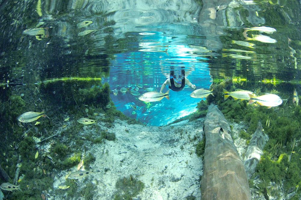 Adventure Awaits: Ocean Quest Travel’s Guide to Expedition Cruises